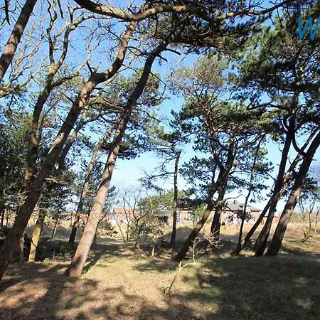 Apartment Barons Residenz 3 *